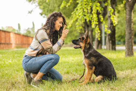 woman training her puppy to sit