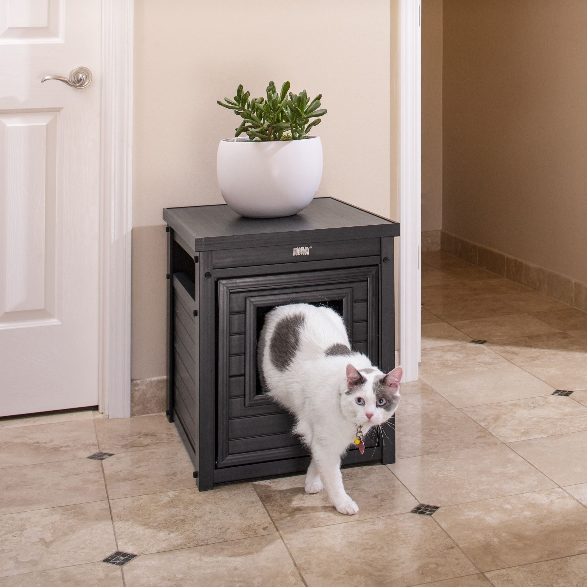 ehlb801-02.jpg?v=1710904774