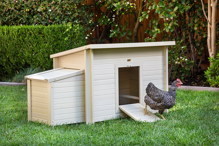 Fontana Chicken Barn – NewAgePet