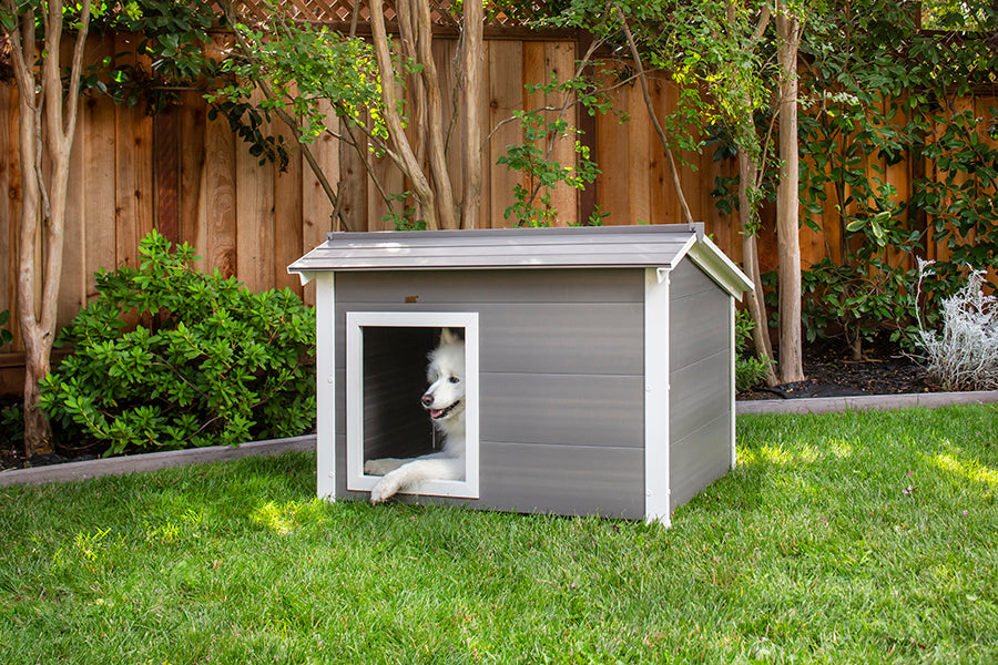 ThermoCore™ Super Insulated dog house – NewAgePet