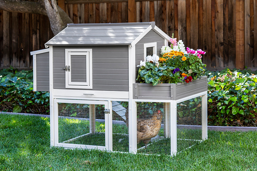 Garden Coop with Pen – NewAgePet