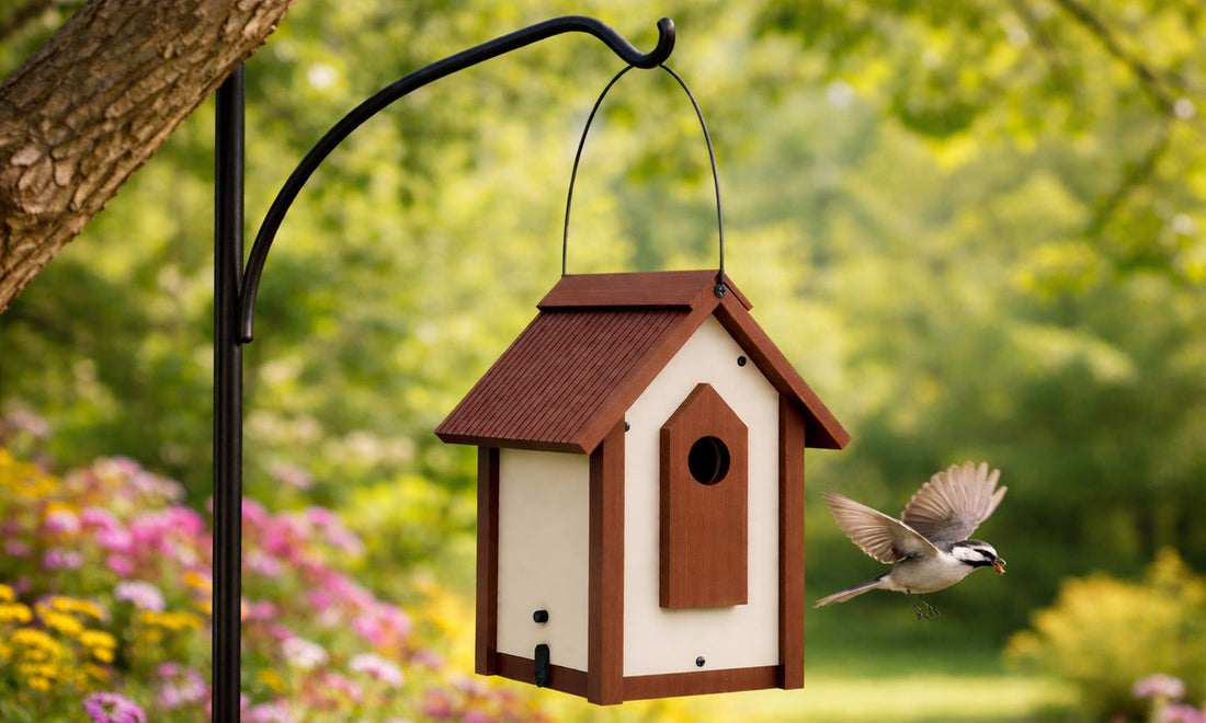 Backyard Nesting 101: Helping Songbirds During Nest-Building Season