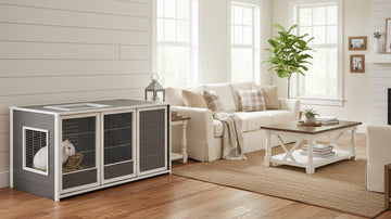 Rabbit Hutch Setup & Space Planning for Happy Hops