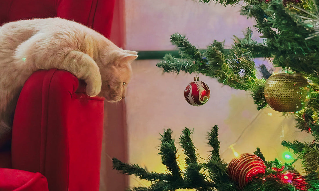 Deck the Halls: Cat-Friendly Holiday Decorating Tips