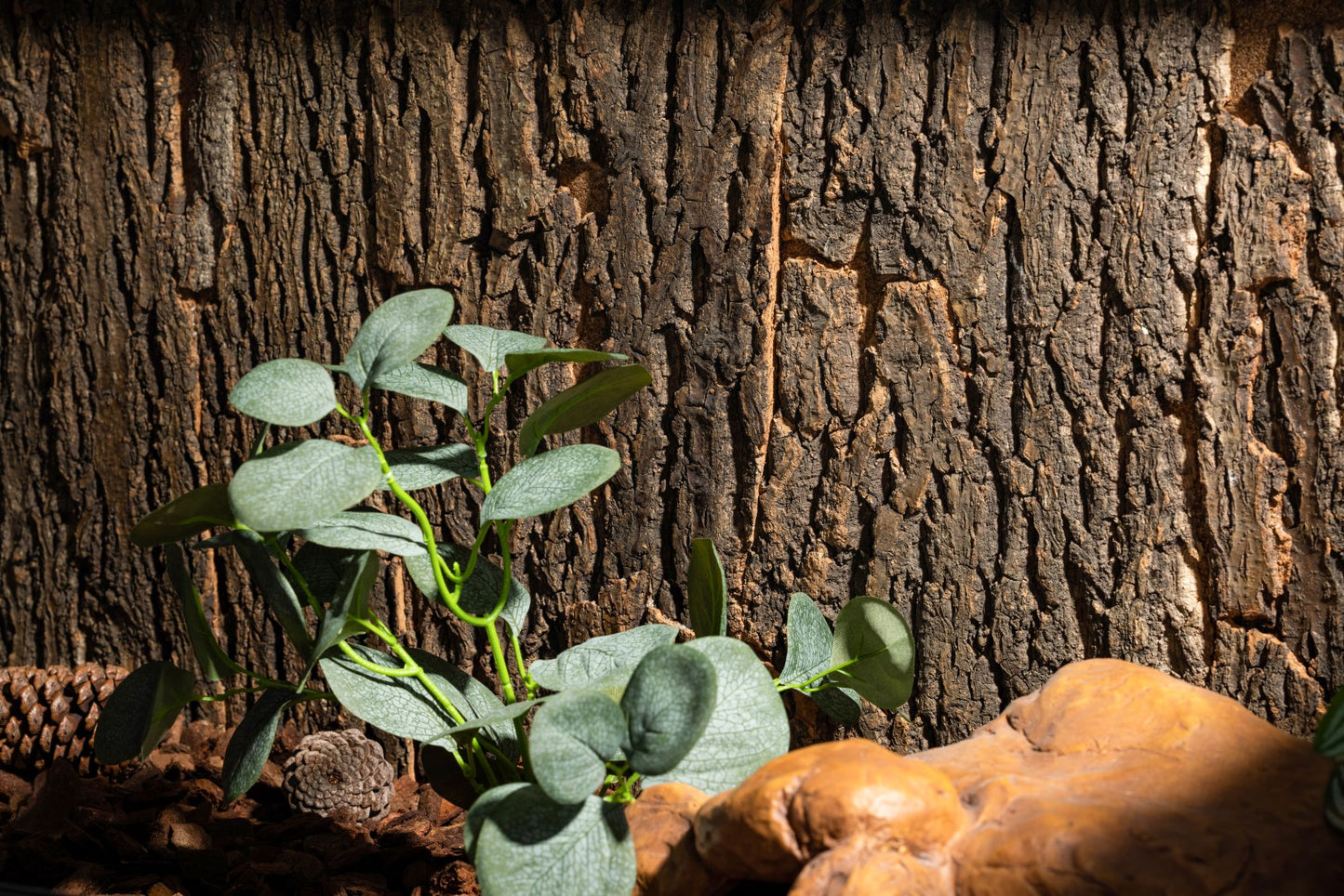Cork Background for Mojave Reptile Lounge