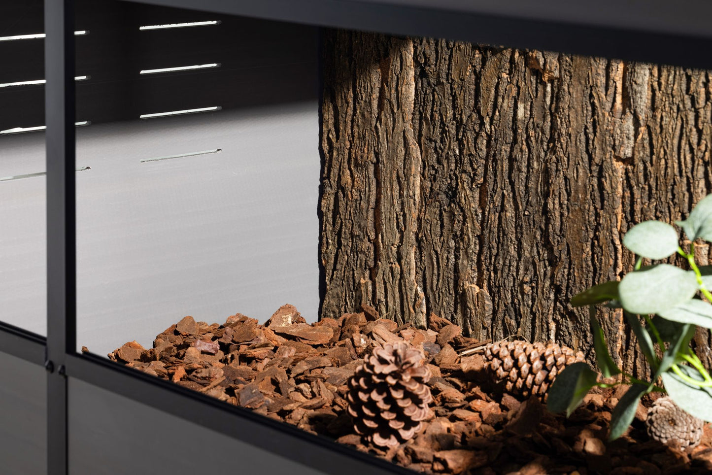 Cork Background for Mojave Reptile Lounge