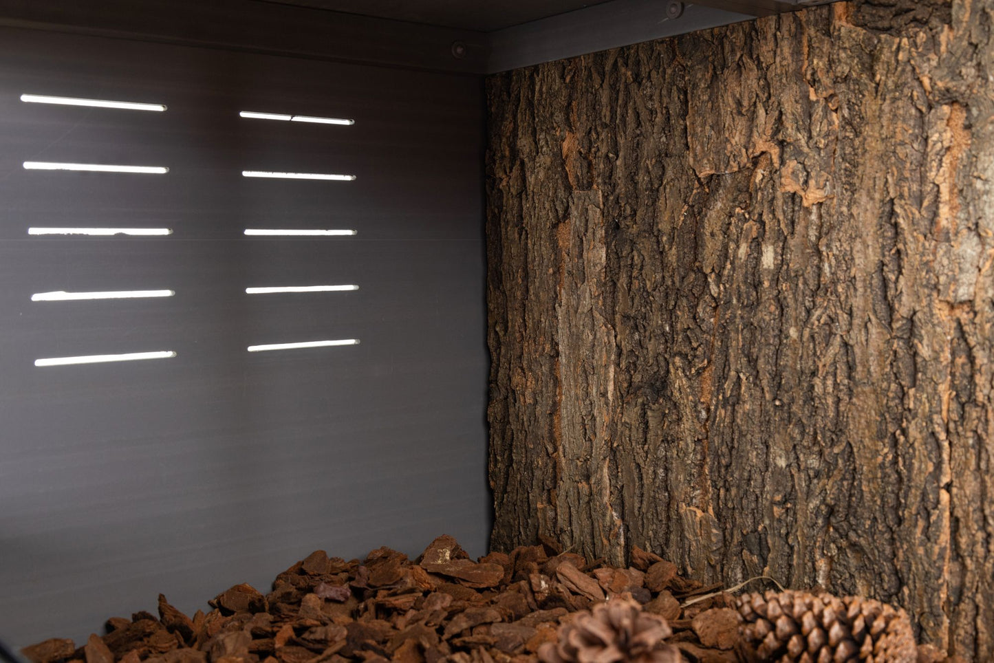 Cork Background for Mojave Reptile Lounge