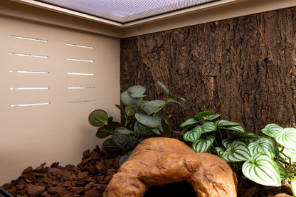 Cork Background for Mojave Reptile Lounge