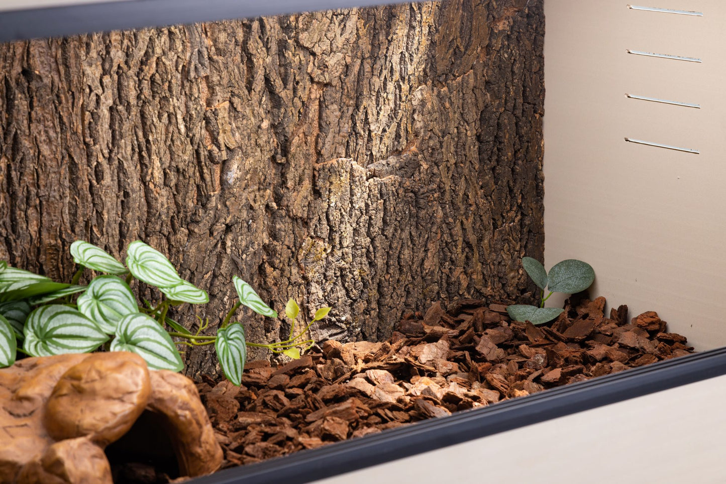 Cork Background for Mojave Reptile Lounge