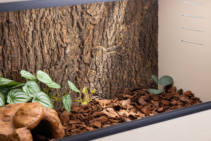 Cork Background for Mojave Reptile Lounge