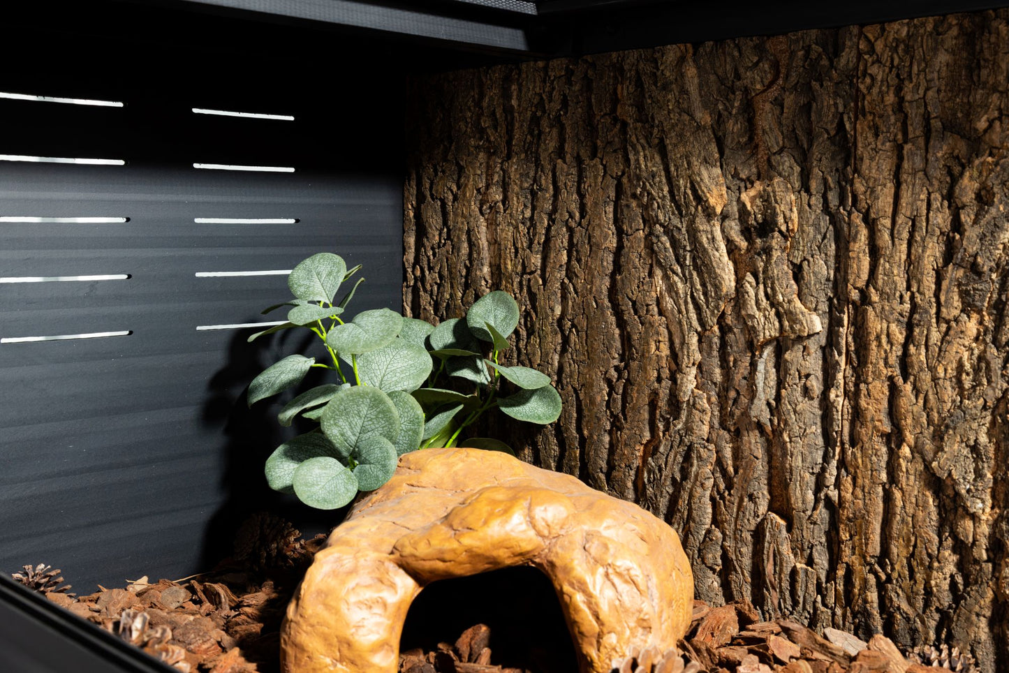 Cork Background for Mojave Reptile Lounge