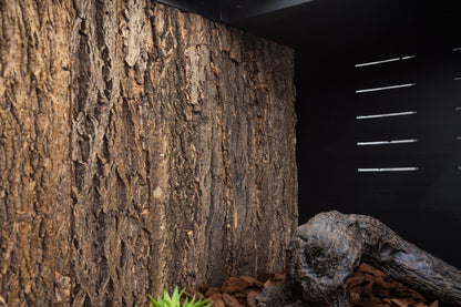 Cork Background for Mojave Reptile Lounge