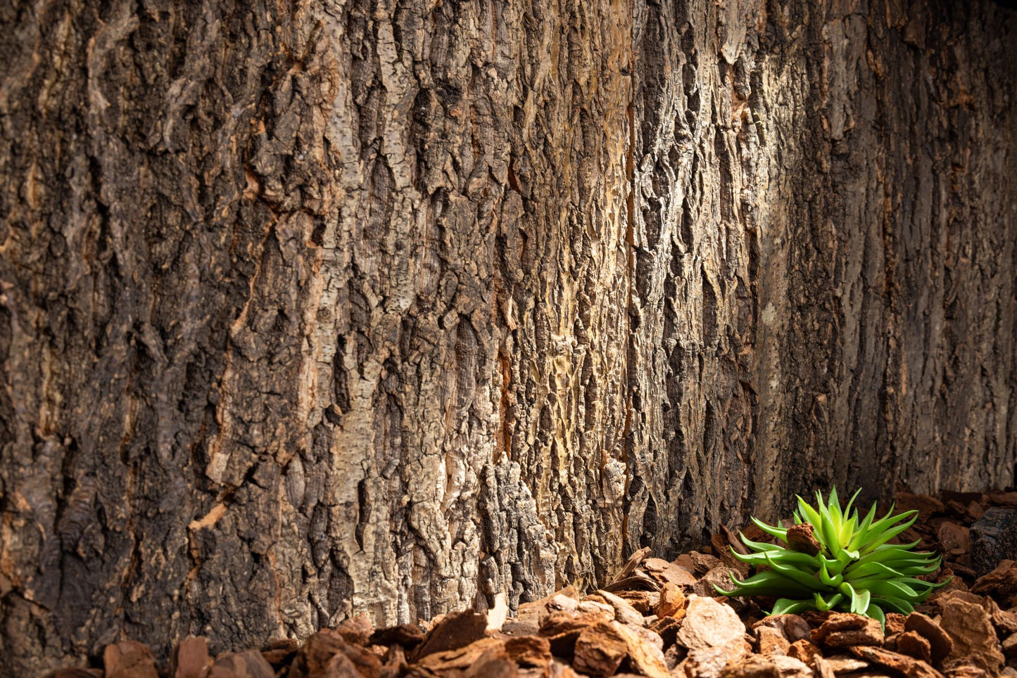 Cork Background for Mojave Reptile Lounge