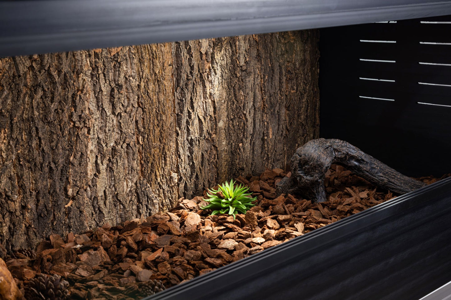 Cork Background for Mojave Reptile Lounge