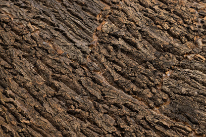 Cork Background for Mojave Reptile Lounge