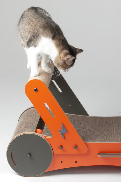 Purr & Play Kitty Trolley Scratcher