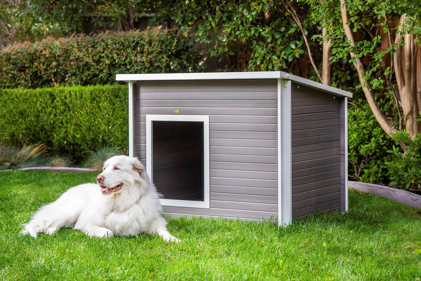 Rustic Lodge Dog House