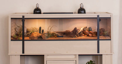 Mojave Reptile Lounge