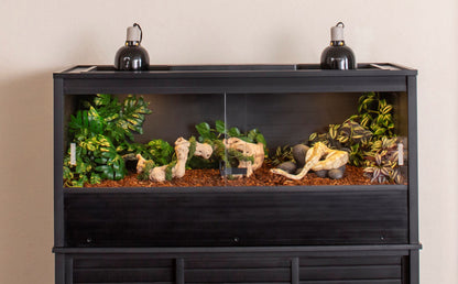 Mojave Reptile Lounge