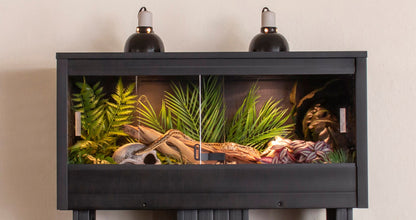 Mojave Reptile Lounge