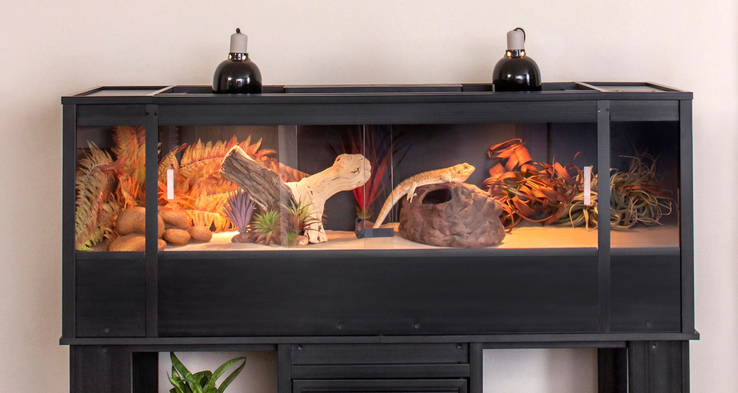 Mojave Reptile Lounge