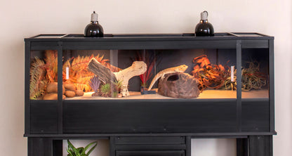 Mojave Reptile Lounge