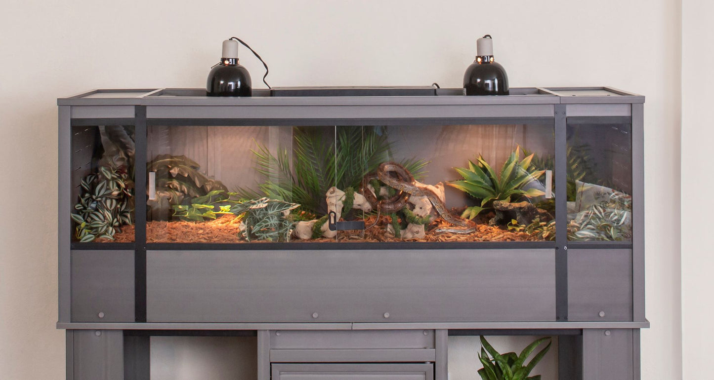 Mojave Reptile Lounge