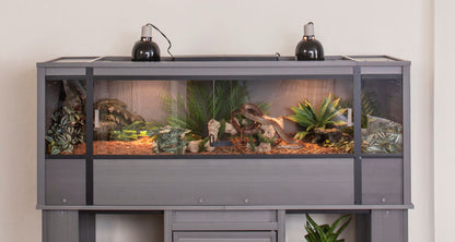 Mojave Reptile Lounge