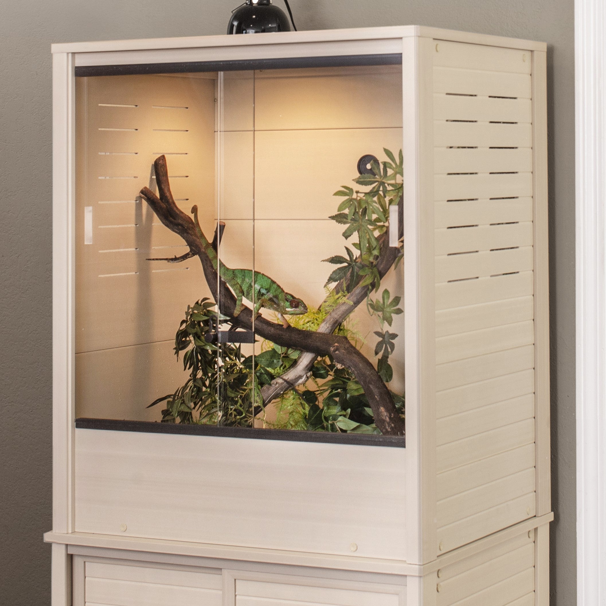 Madagascar Reptile Lounge – NewAgePet