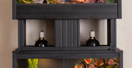 Mojave Reptile Lounge Stackers