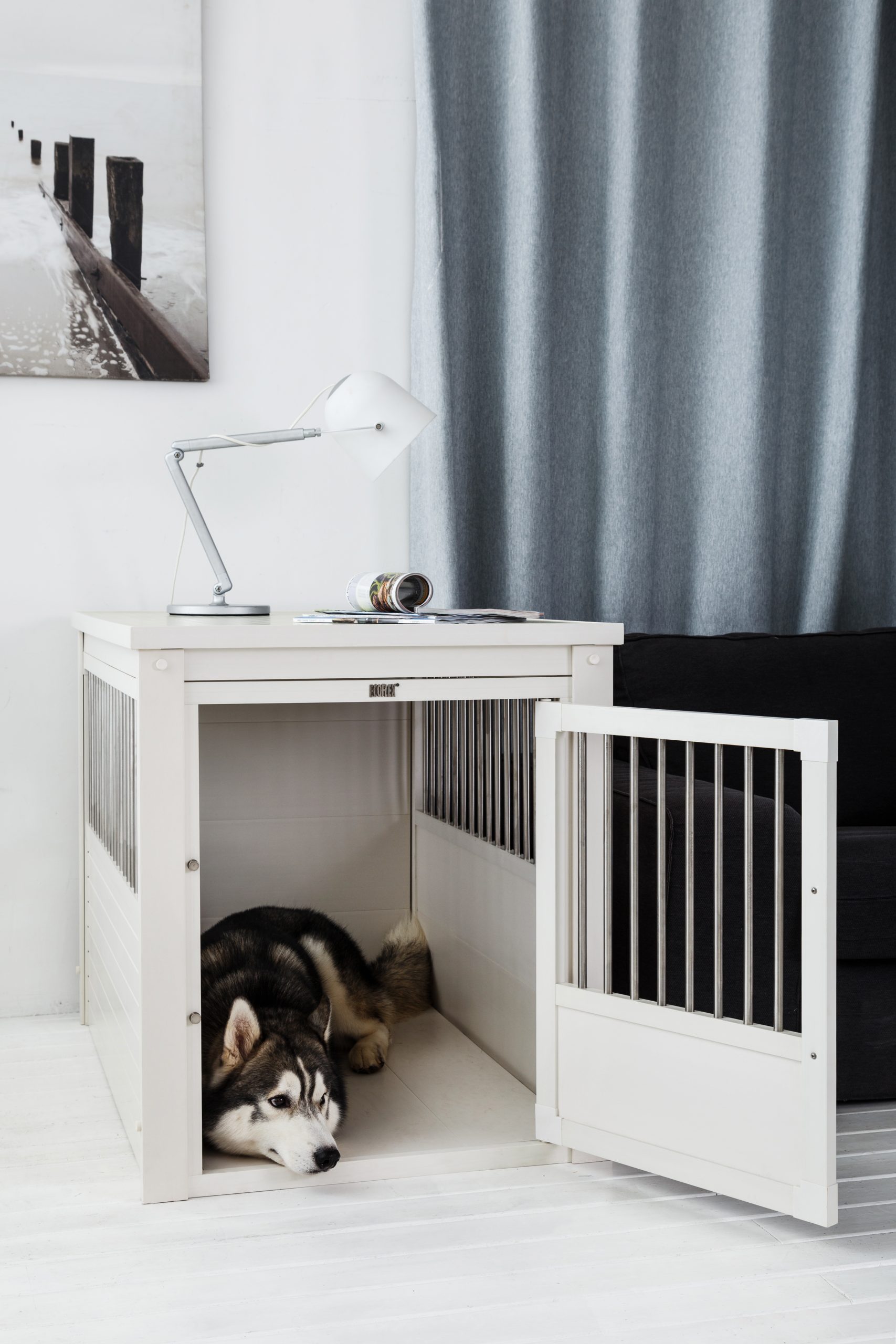 eco dog crate