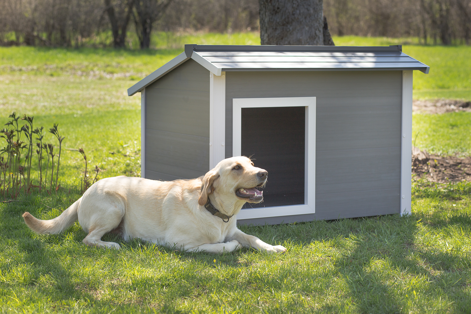 ThermoCore™ Super Insulated dog house